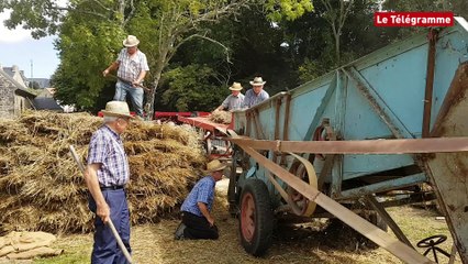 Plougoulm (29). Moisson et danse bretonne font bon ménage