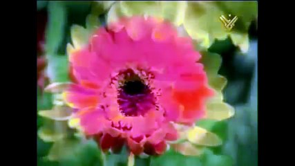 Anasheed أنشودة ربي إني برضاك   قناة المنار