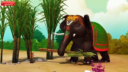 அழகர் ஆனை | குழந்தைகளுக்கான தமிழ் பாட்டுக்கள் 🐘 | Infobells