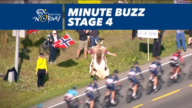 Minute buzz, best pictures of stage 4 / Etape 4 - Arctic Race of Norway 2017