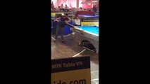 Giải VĐQG 2017 Pool 9 Bi Nữ Tại Sóc Trăng (Ngọc Hương VS Nguyễn Hoàng Yến Nhi) - 9 Ball Billiards.