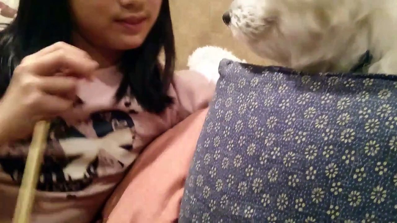 chiro chan,みんなにだいすき♥❤