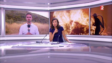 Incendie en Haute-Corse : la course contre- la-montre