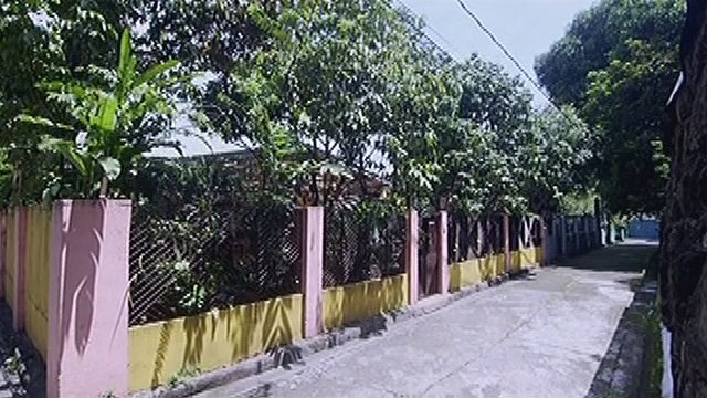 Wansapanataym: Ving falls from the roof