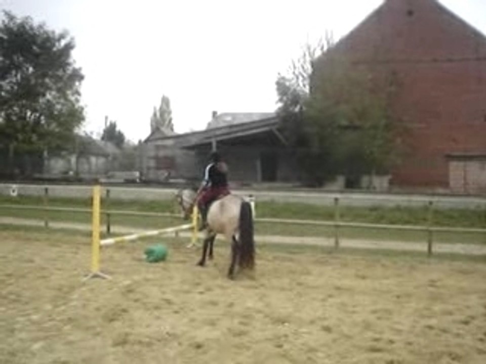 Quoock 6