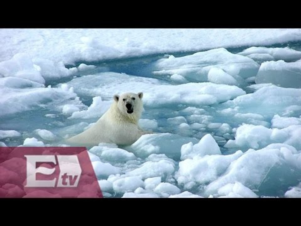 Cambio climático: el deshielo en el Ártico/ Entre Mujeres