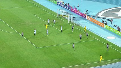 Gol de Leandrinho, Botafogo 1x0 Grêmio