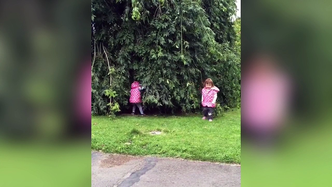 Deux petites filles font une partie de cache-cache !