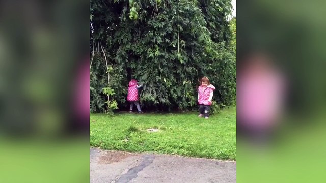 Deux petites filles font une partie de cache-cache !