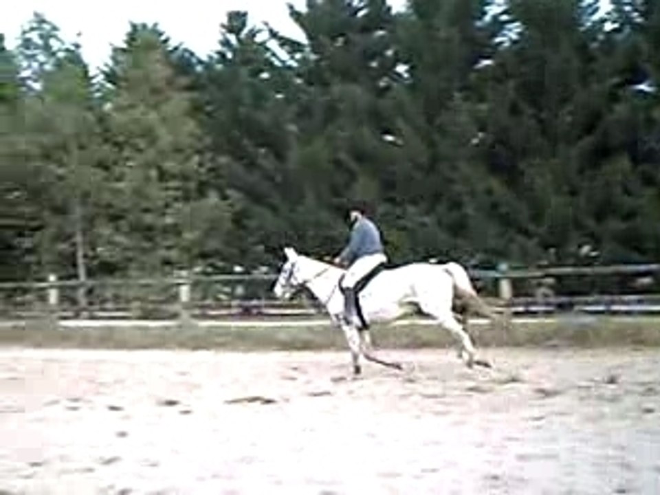 NOL ET MUMU 2