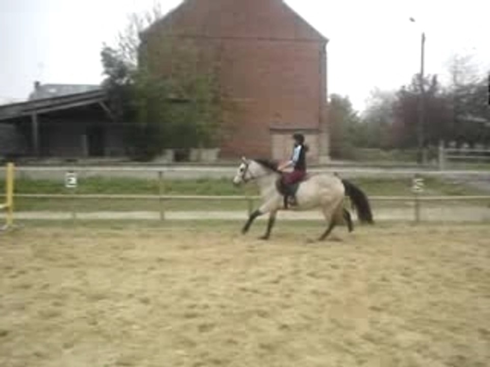 Quoock 7