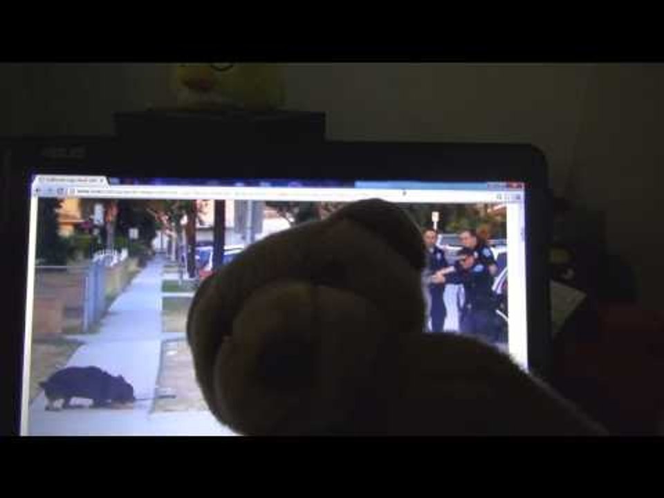 Ca Police Shoot Dog! Did Max Have To Die?