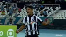 Botafogo 1 x 0 Grêmio - Melhores Momentos e Gol (COMPLETO) Brasileirão 13-08-2017