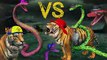Hulk Vs Dinosaurs | Python vs Tiger | Kingkong Vs Dinosaur 3D short movies for children