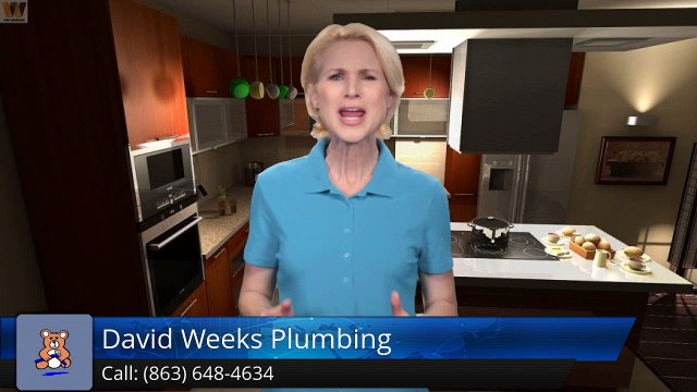 David Weeks Plumbing Lakeland Wonderful Five Star Review by Dustin Harrison