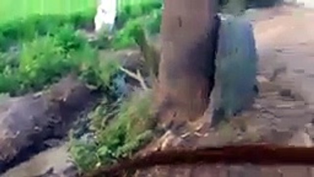 Bio Gas Plant, free gas, free electricity and free fertilizers for your crops