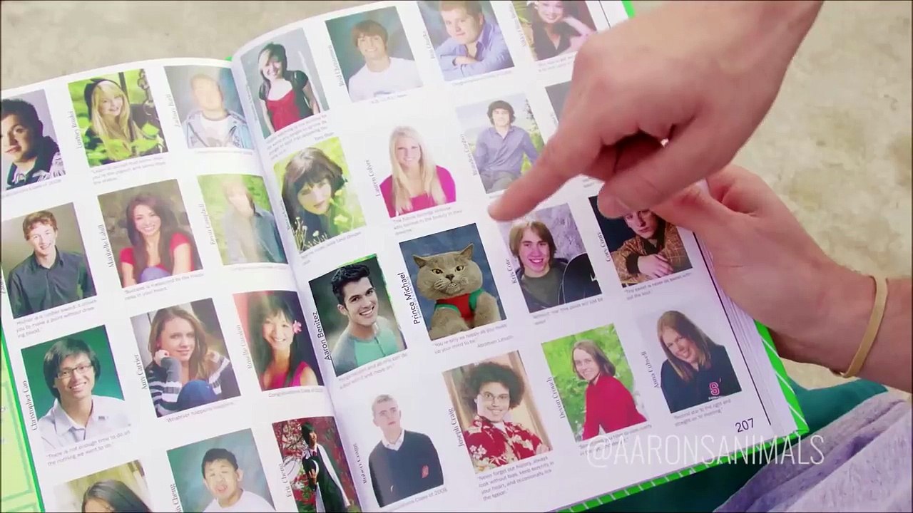 Aarons Animals NEW VIDEO COMPILATION 2017 || FunnyVines