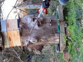 Traitement d'hiver contre varroa 4