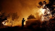 Πύρινα μέτωπα σε όλη την Ελλάδα-Μάχη με τις φλόγες στη βορειοανατολική Αττική