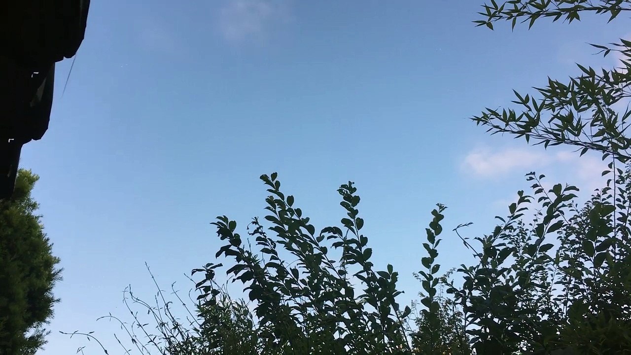 Santa Monica UFO Sighting