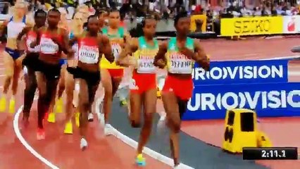 Le champion du monde Mutaz Barshim passe la hauteur de 1m92 comme une haie !