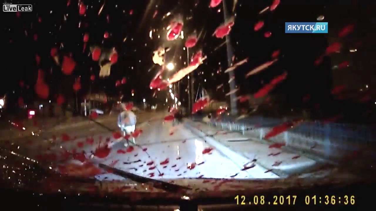 Accident avec un cheval en Russie : le pare brise recouvert d'intestins !!