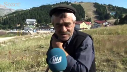 Uludağ’da kayak pistleri koyunlara kaldı