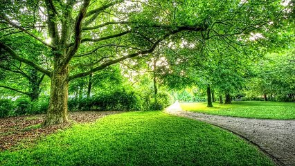 حارس عمارة مسن يكتم سرا خطيرا لأزيد من 30 عام،لكن مافعلته الشرطة لإكتشاف السر شيء لايصدق