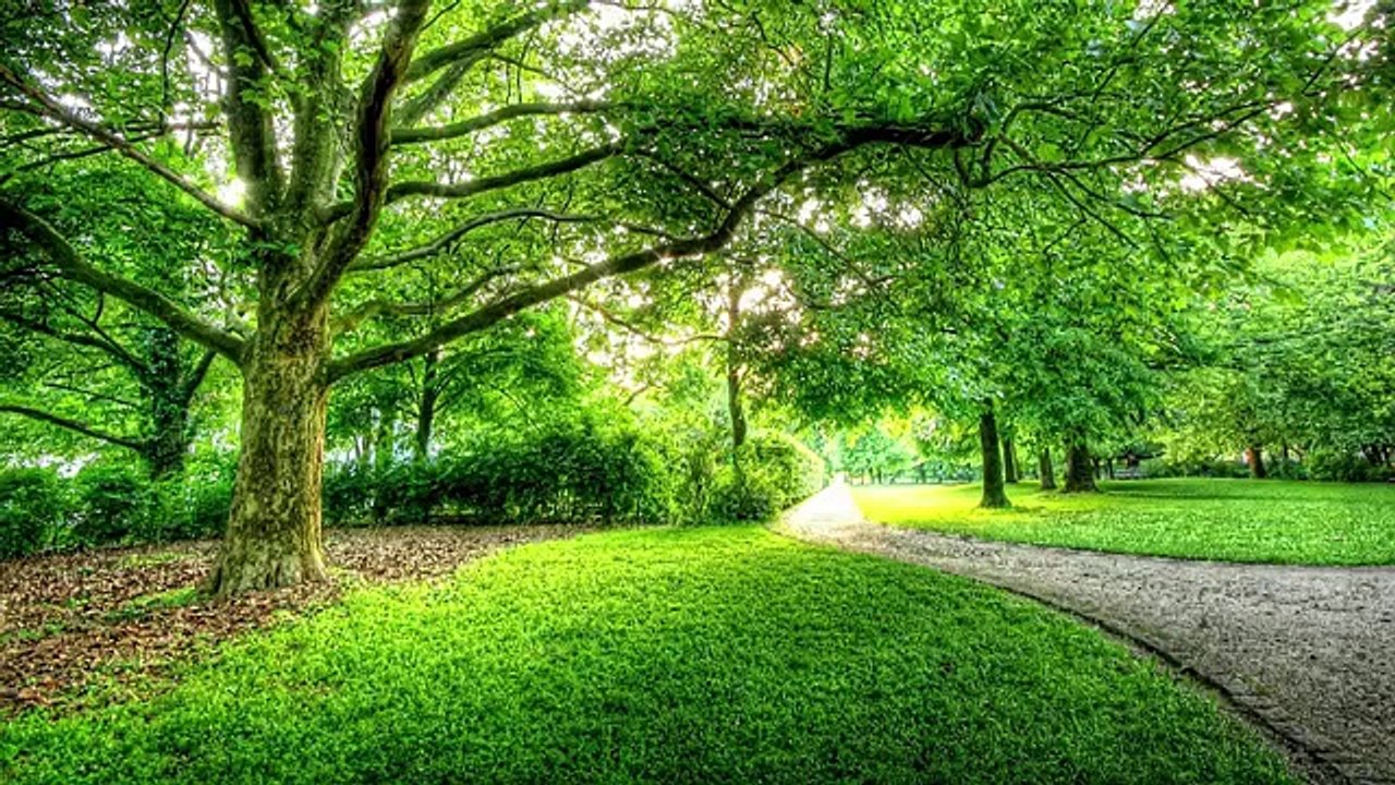 حارس عمارة مسن يكتم سرا خطيرا لأزيد من 30 عام،لكن مافعلته الشرطة لإكتشاف السر شيء لايصدق