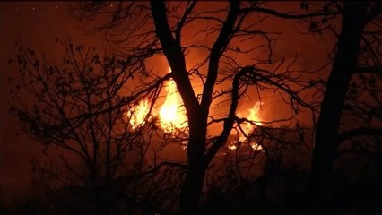 Grèce : un incendie dévastateur aux portes d'Athènes