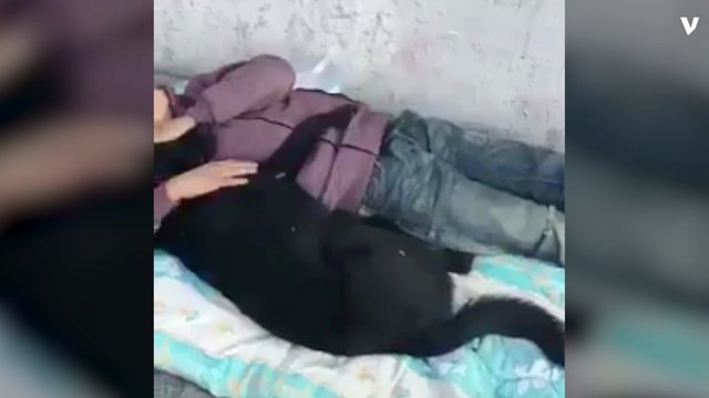 Syrian Boy Lived Alone With His Dog For 8 Months