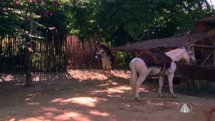A Padroeira-Cap 019 Full HD 1080p