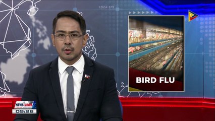 Palace: No indication that the strain of Avian flu is harmful to humans