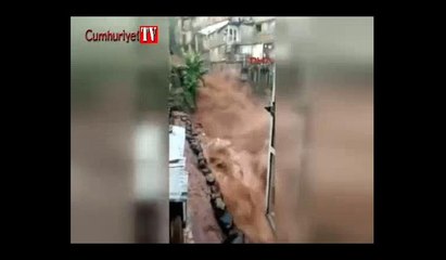 Sierra Leone'de toprak kaymasında en az 200 kişi öldü