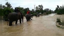 India e Nepal: morte e devastazione dopo le alluvioni