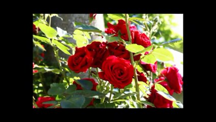 IT IS WELL WITH MY SOUL - Classic Christian Hymn