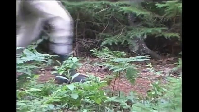 La batalla de Santiago de Cuba 1741