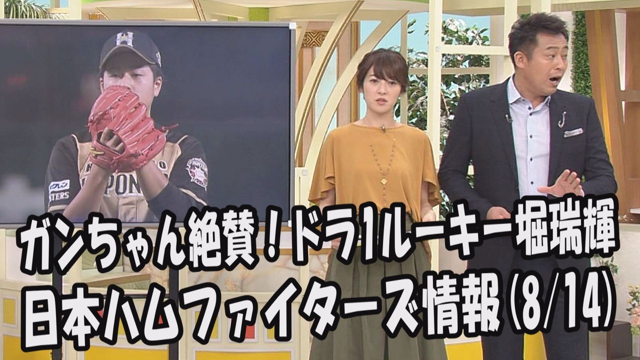 日本ハム ガンちゃん絶賛！ドラ１ルーキー 堀瑞輝 週末のソフトバンク戦 2017.8.14 日本ハムファイターズ情報 プロ野球