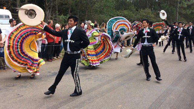 Fête des Bruyères. Cercles, bagadoù, chars-à-bancs