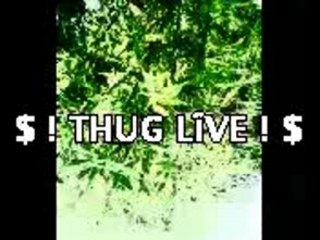 Mixtape Street Vibes 🎶