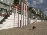 Urban Trickers, un duro dia en la playa