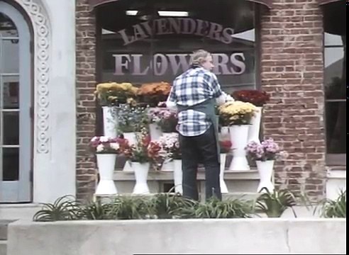 9 1_2 Ninjas - Full Movie , FullHd Tv Movies action comedy series 2017 & 2018