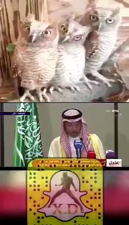 الجبير  لا خير في تعاون اي دولة مع ايران