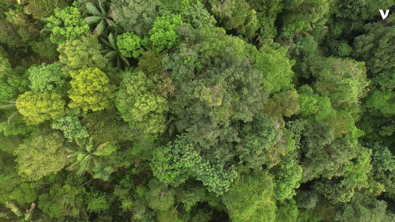 Colombia Seizes An Eco-Friendly Submarine Smuggling Drugs