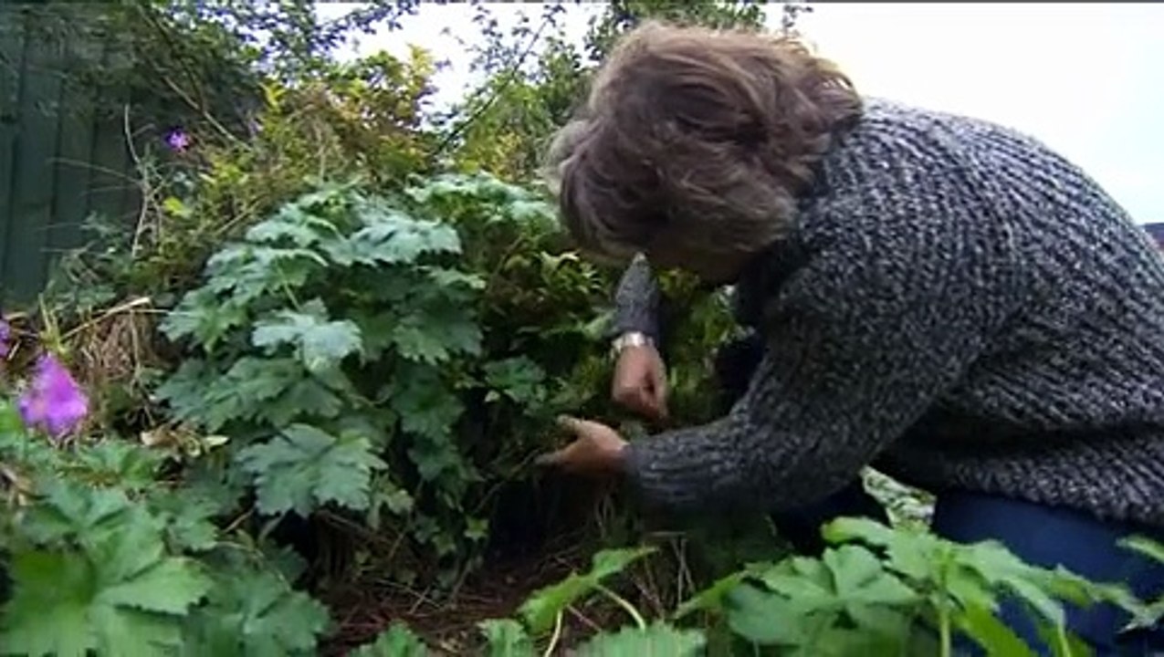 Autumnwatch S07E04