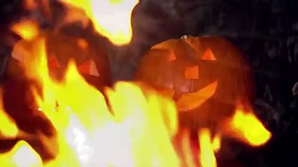Autumnwatch S08E03