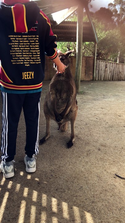 Happy Roo