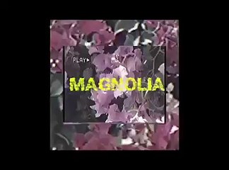 Sneazzy - Magnolia (Freestyle)