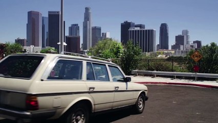 Les dangers de laisser son chien dans une voiture fermée