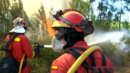 Download Video: España envía ayuda de urgencia a Portugal para combatir los incendios